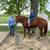 Barrel Horse 4 thumbnail