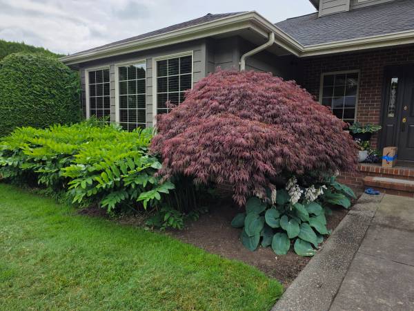 FRANCISCO LANDSCAPING PROFESSIONAL 1
