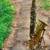 Conn tenor sax 4 thumbnail