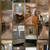 ROOM FOR RENT 6 thumbnail
