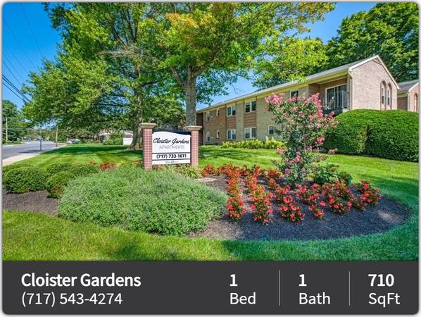 The heart of modern living beats here: Dive into our 1 BR. 1