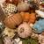 Fall Decor Items in box 2 thumbnail