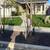 @@@ tree service**** & Junk removal  & lawn care@@@ 11 thumbnail