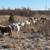 Custom Grazing 2026 18 thumbnail