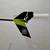 E-Flite Blade 120 SR Electric Helicopter RC RTF Kit +$50 IN EXTRAS 9 thumbnail