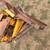 Dozer blade 5 thumbnail