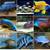 Assorted Peacock and Haplochromis cichlids African Cichlids 1 thumbnail