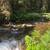 2.4 ac Land For Sale, River Frontage, Cabin Site, Fishing, Hunting 16 thumbnail