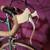 Vintage    Raleigh International        Early 70s 4 thumbnail