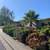 INFINITY GREEN LANDSCAPING (Fence, pavers, Sprinklers system & More) 12 thumbnail