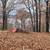 TWO Mobile Homes with land, on  Lake View Lot 19 thumbnail
