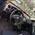 Toyota Matrix 2005 1 thumbnail