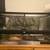 ($80) 24x12x18 Inch Horizontal Glass Reptile Enclosure 1 thumbnail
