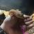 Leopard geckos 5 thumbnail