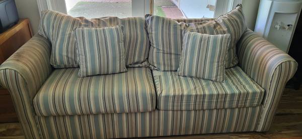 FREE Sleeper Sofa 1