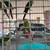 Conure(s) 11 thumbnail