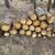 Free firewood 3 thumbnail