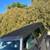 2024 Ford Bronco Outer Banks V6 4WD Sasquatch High Lux Htd Lthr/Wheel! 13 thumbnail