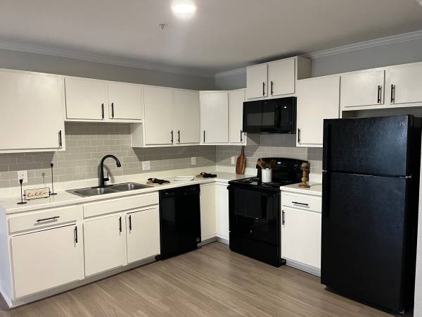 FIRST, SECOND, AND THIRD FLOOR UNITS AVAILABLE!🙌 1