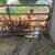 9 bottle calves 1 thumbnail