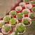 Plants 4 thumbnail