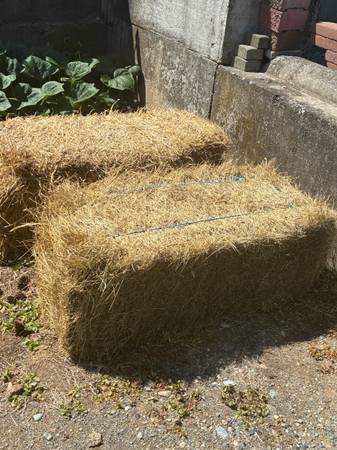 2bales free hay 1