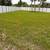 Venice Affordable Updated Incls Utilities + WIFI Excellent Location 11 thumbnail