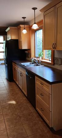 Kitchen Cabinets - used 1