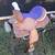 Saddle 11 thumbnail