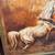 Tomasz Rut – “Equine Embrace” (Signed Original Oil Painting) 3 thumbnail