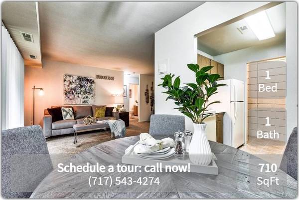 Cats and Dogs Welcome! We are Pet Friendly! 1 BD / 1 BA 1