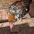 Mille Fleur Clean Legged Young Pair  Male & Female 5 thumbnail