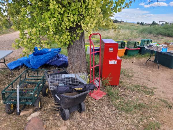 Yard sale photo