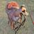 Triange T saddle 16" 1 thumbnail