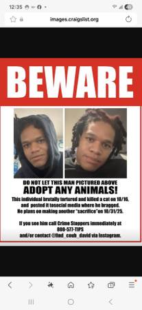 Beware of Cat Killer (Animal Killer)64193811700867120