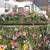 1200sqft Solar greenhouse, Heated, Rainwater catchment & pump 1 thumbnail
