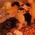 Crested Ducklings 7 thumbnail