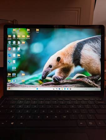 Surface Laptop 1