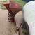 Mccormick Seeder 2 thumbnail