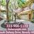 Close to Rodeo Drive, SS Appliances, 1 Bedroom in Beverly Hills 1 thumbnail