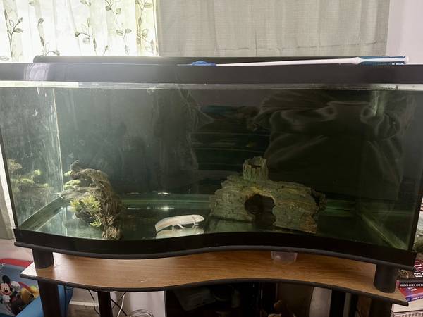 75 Gallon Tank With 2 axolotl’s 1