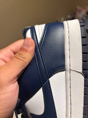Dunks size 12 1