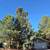 Centrally located single level house with mature Ponderosa Pines 1 thumbnail