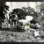 Three Archival Photos of The American Museum of Bath, England 5 thumbnail
