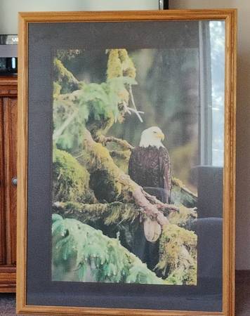 Large Matted & Light Oak Framed Eagle 1