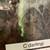 Downsizing tarantulas 10 thumbnail
