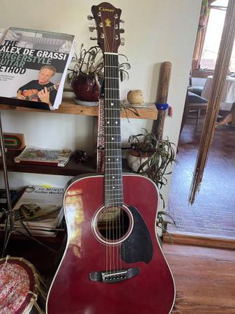 Guitars, amp, pickup, accordian 1