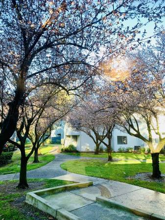 $1,650 / 1br - 763ft2 - Quick before my competition deletes my post LOL  🤣🤣 1bed 1 bath (Modesto)63970307662979120