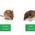 CROSSPOINT  PEST CONTROL SERVICES!!!!!!!!!!!! 4 thumbnail