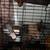 Sugar gliders Breeding pair plus one 6 thumbnail